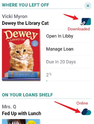 how to download libby books offline