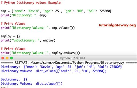 How to Print Dictionary Values in Python: A Journey Through Code and Chaos